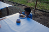 camp27 (295)_thumb.png